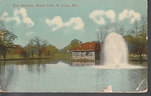 Fish Hatchery Forest Park St. Louis, MO circa 1915 Postcard