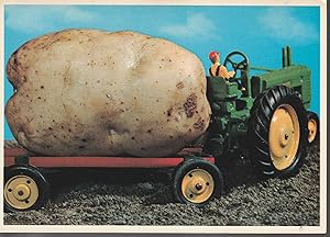 New Brunswick Potato How They Are Grown Tractor Canada Postcard circa 1970