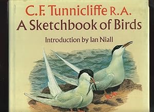 A Sketchbook of Birds