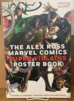 The Alex Ross Marvel Comics Super Villains Poster Book