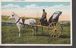 Caleche Quebec Canada, Carriage circa 1925 Photo Postcard