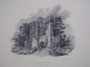Original Antique Engraving Illustrating Warwick Castle, Gate Tower, in Warwickshire. Published By...