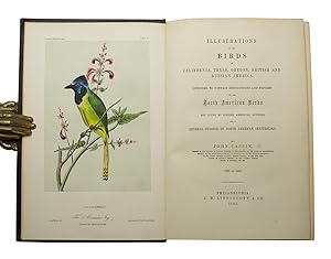Illustrations of the Birds of California, Texas, Oregon British and Russian America. Intended to ...