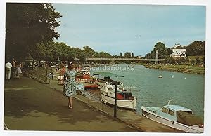 Chester The Groves Postcard