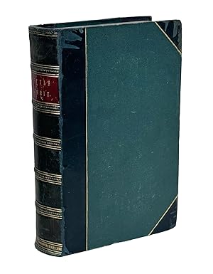 Little Dorrit