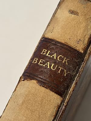 Black Beauty - Donohue & Henneberry Edition