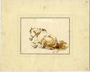 Antique Drawing-LYING-HORSE-Langendijk-18th c.