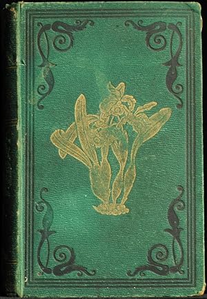 The Orchid Growers Manual