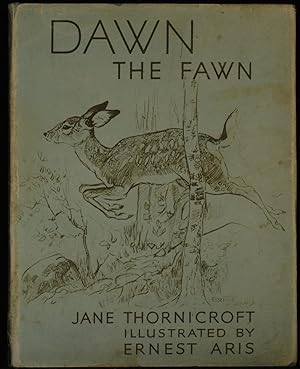 Dawn The Fawn