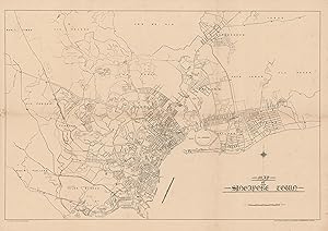 Map of Singapore Town.