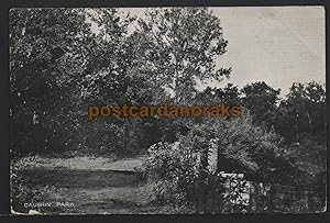 Dauphin Park Manitoba 1907 J.H. Clarke Postcard
