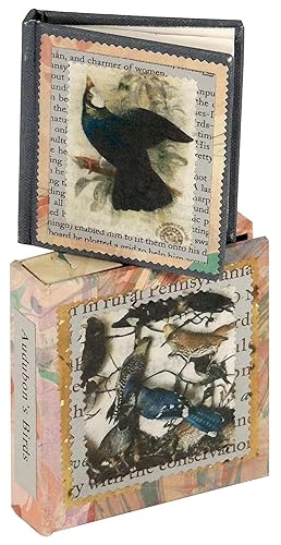 Audubon's Birds