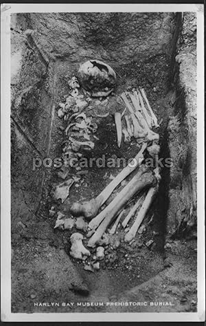 Harlyn Bay Museum Prehistoric Burial Postcard
