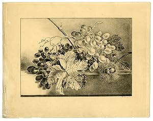 Antique Drawing-STILL LIFE-GRAPES-CHESTNUTS-Chantal-Van Os-1836