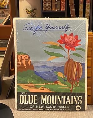See for yourself. The Blue Mountains of New South Wales