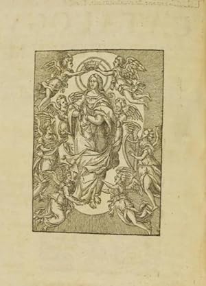 Chronicon SS. Deiparae Virginis Mariae, in quo omnia vitae eius acta et celeberrima miracula per ...