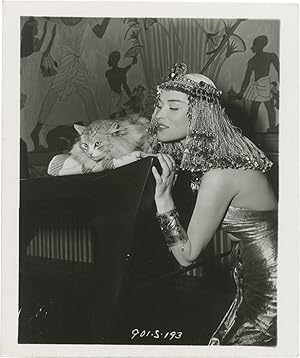 The Egyptian (Original set of 32 snapshot test photographs from the 1959 film)