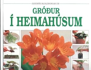 Grodur I Heimahusum : Handbok Skjaldborgar Um