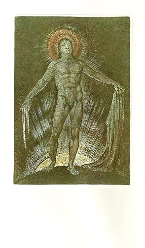 THE POEMS OF WILLIAM BLAKE