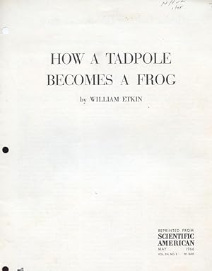 How a Tadpole Becomes a Frog.