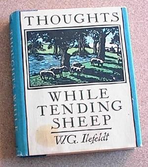 Thoughts While Tending Sheep