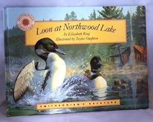 Loon At Northwood Lake