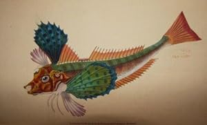 The Natural History of British Fishes, Including Scientific and General Descriptions of the Most ...