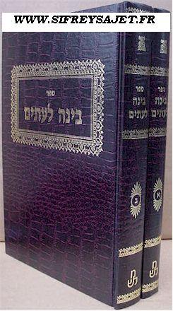 Drashos Bina leItim / Drachot Bina laIttim - Hebrew/Hébreu