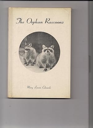 The Orphan Raccoons