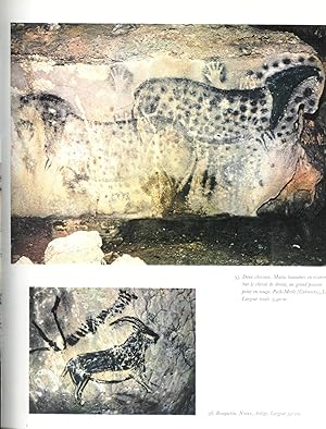 L'art préhistorique : Les cavernes - Le Levant espagnol - Les régions arctiques