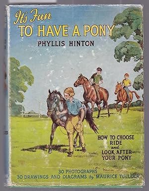 Its Fun to Have a Pony