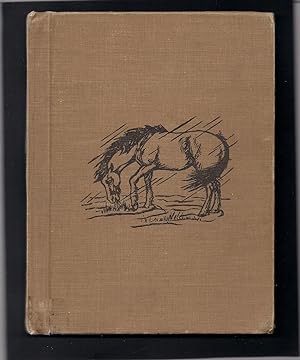 Kelpie-A Shetland Pony