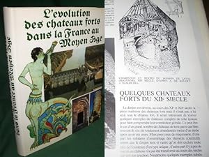 Evolution Des Chateaux Forts Dans La France Au Moyen Age