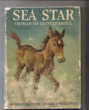 Sea Star Orphan of Chincoteague