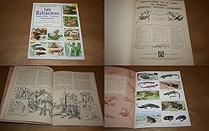 Les Batraciens - Grenouilles - Crapauds - Salamandres. L'Encyclopédie par le Timbre N° 65 - Complet.