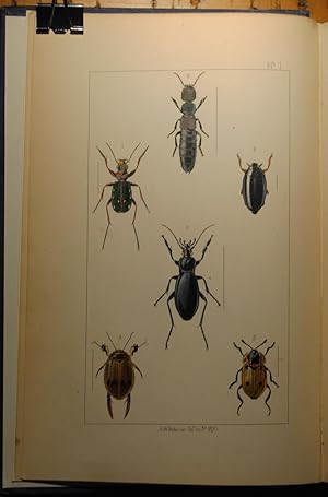 British Insects, a familiar description of the form, structure, habits and transformations of ins...