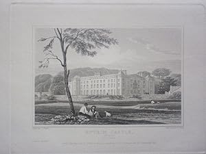 Original Antique Engraving Illustrating a View of Antrim Castle, Antrim in Ireland By J.P. Neale....