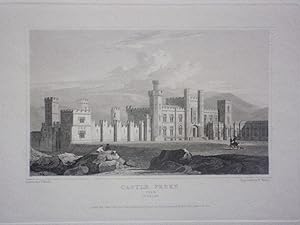 Original Antique Engraving Illustrating a View of Castle Freke in Cork, Ireland By J.P. Neale. Pu...