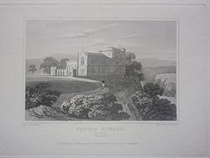 Original Antique Engraving Illustrating a View of Castle Howard in Wicklow, Ireland By J.P. Neale...
