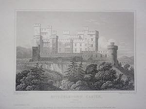 Original Antique Engraving Illustrating a View of Mitchelstown Castle in Cork, Ireland By J.P. Ne...