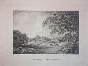 Original Antique Engraving Illustrating a Hawkstone Park in Shropshire By J. Walker. Published in...