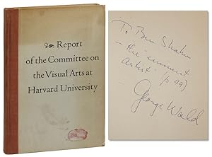 Report of the Committee on the Visual Arts at Harvard University