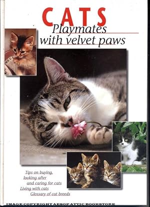 CATS, Playmates with Velvet Paws