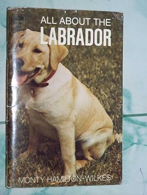 All About The Labrador