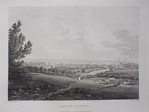 An Original Antique Engraved Print Ilustrating a View of Liverpool. Published in 1795.