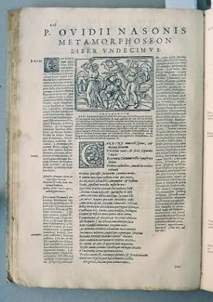 Metamorphoseon libr XV. Raphaelis regii volaterranii explanatio. Cum.addictionibus lactantii plac...