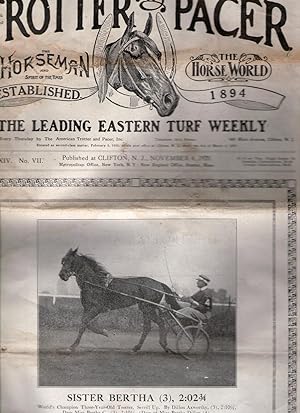 THE TROTTER & PACER: THE HORSEMAN AND SPIRIT OF THE TIMES/THE HORSE WORLD. November 4, 1920