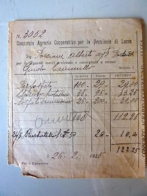 Ricevuta "CONSORZIO AGRARIO COOPERATIVO PER LA PROVINCIA DI LUCCA 26 / 02/1926"