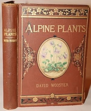 Alpine Plants: Figures and Descriptions of the Most Striking and Beautiful of the Alpine Flowers.