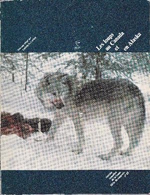 Les loups au Canada et en Alaska.